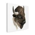 thumbnail image 2 of Trademark Fine Art 'Western Animal Study IV' Canvas Art by Grace Popp, 2 of 4