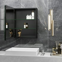 Fundin Black Aluminum Bathroom Cabinet with Mirror 19.8 x 26 inches,Recessed or Surface Mount with Adjustable Shelves