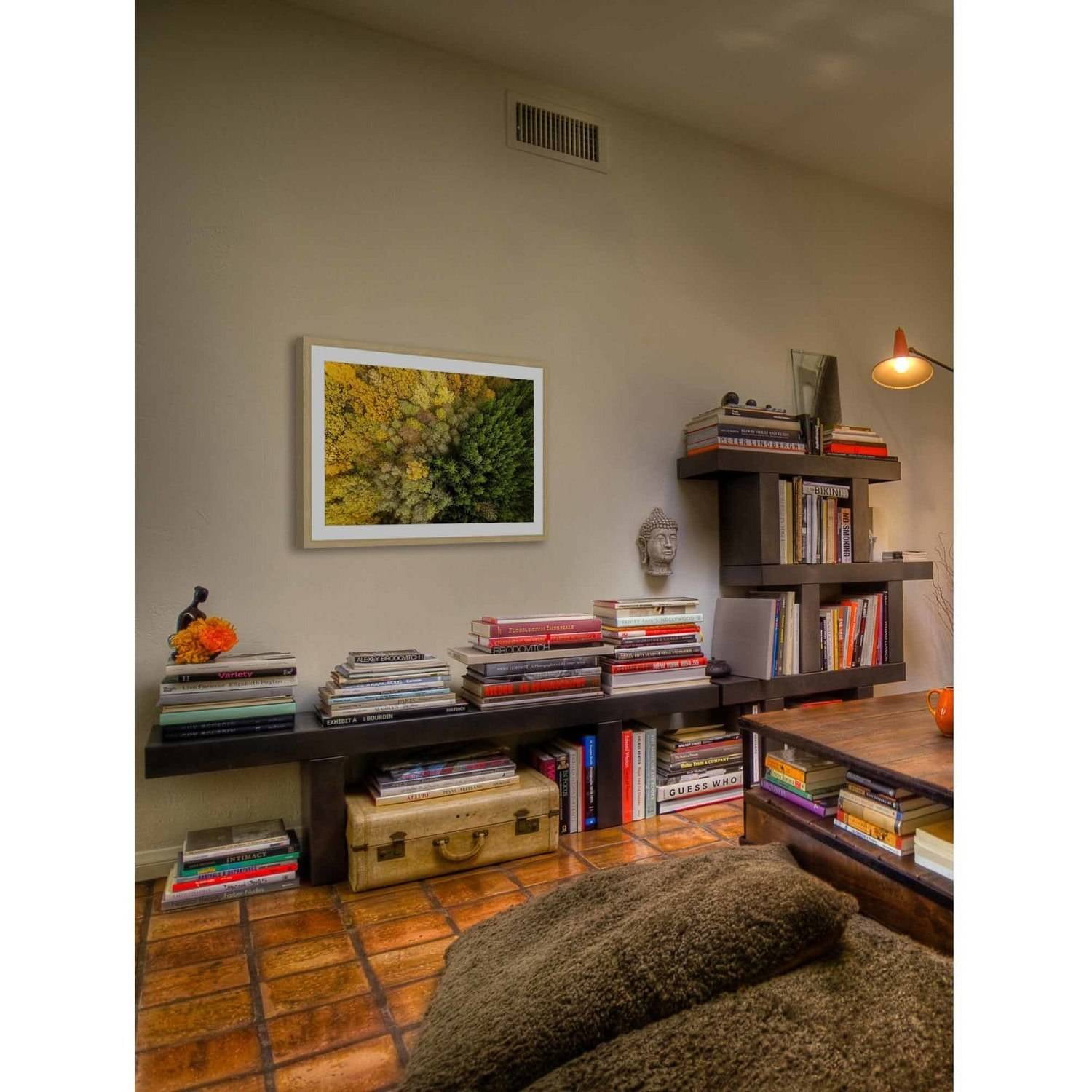 Marmont Hill "Dense Growth" by Karolis Janulis Framed Painting Print