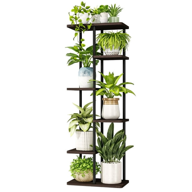 C1-6 tier Black