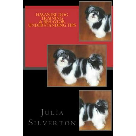 Havanese Dog Training & Behavior Understanding
