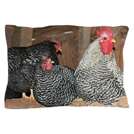 CafePress - Chickens On A Roost - Standard Size Pillow Case, 20