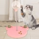 thumbnail image 5 of Toto Trato de Cat, Plástico Cat Circle Track Tack Tack Tack Food Food Diseño Con Primavera para Perros Pequeños, 5 of 7