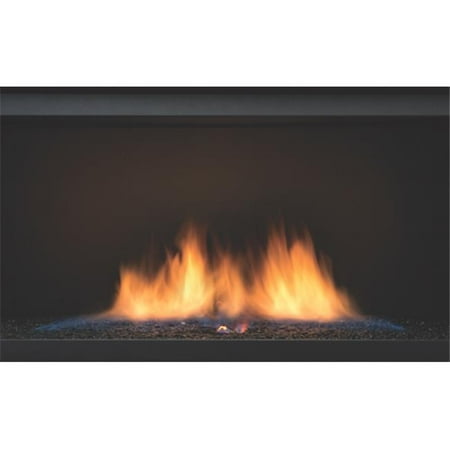 Series 36' Liquid Propane Sierra Flame PALISADE-36-LP 36 in. See-Thru Palisade Linear Direct Vent Gas Fireplace - Liquid Propane ()