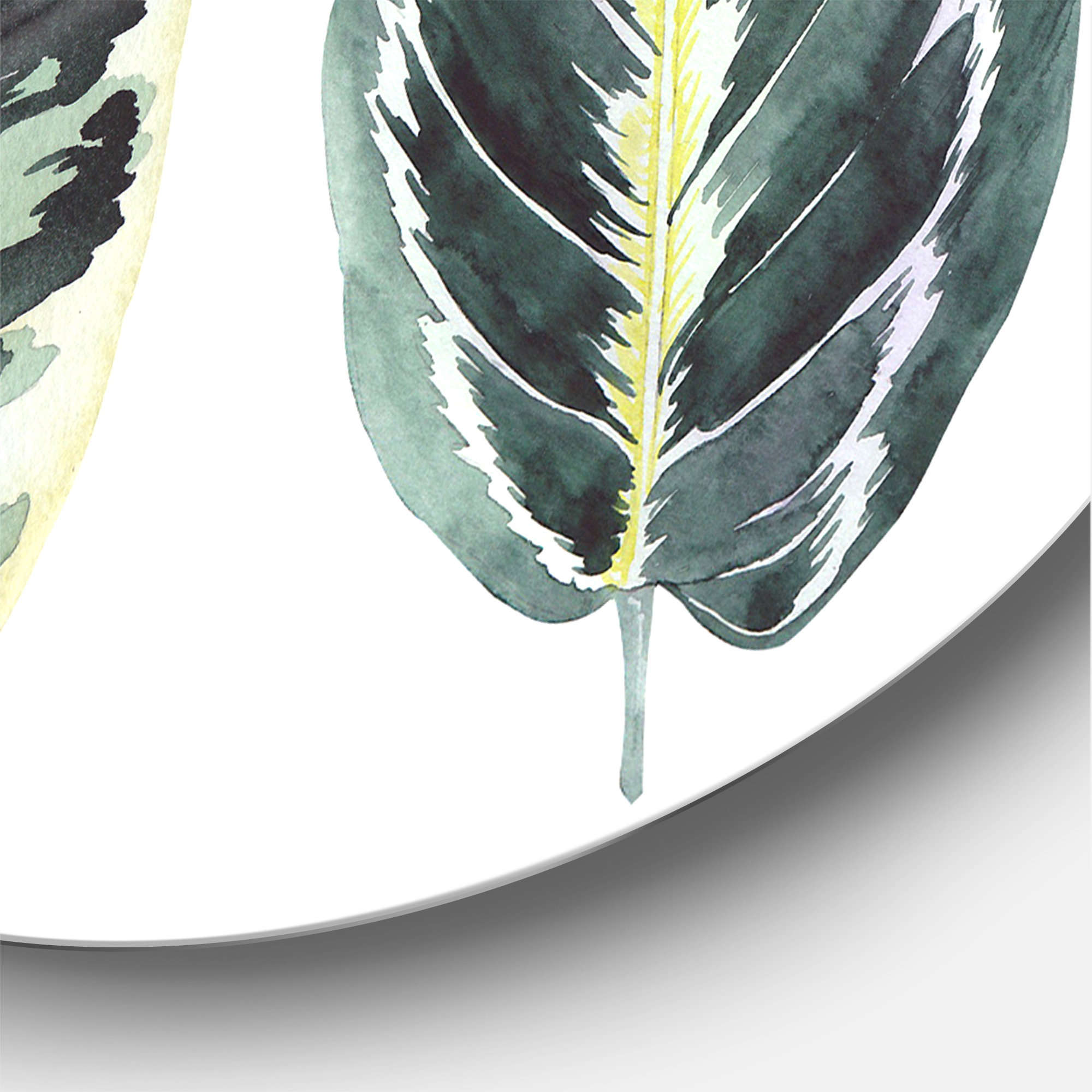 Designart 'Tropical Calathea Leaves On White' Bohemian & Eclectic Circle Metal Wall Art 23x23 - Disc of 23
