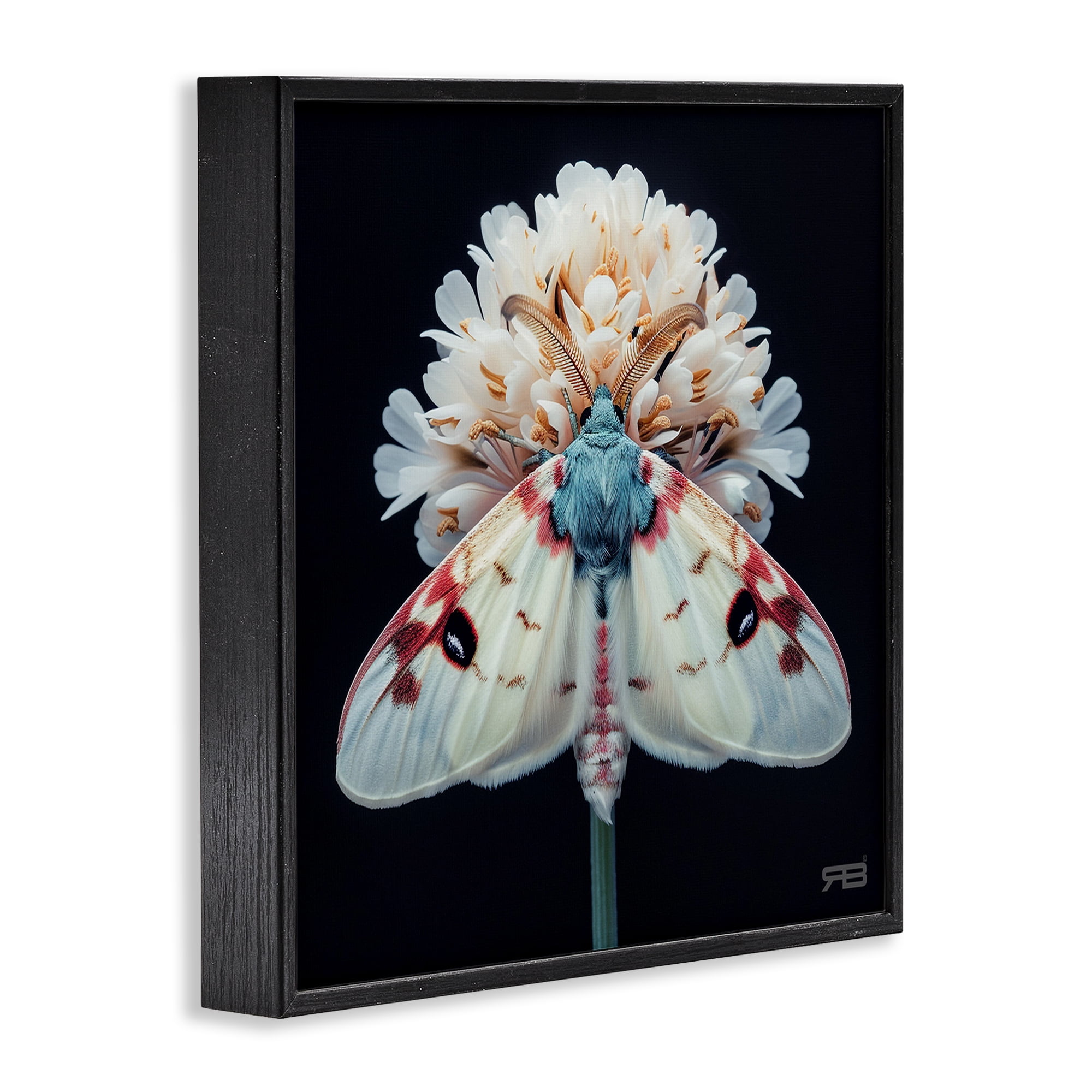 Stupell Industries Moth & White Flowers Animals & Insects Painting Black Framed Art Print Wall Art, 17 x 17