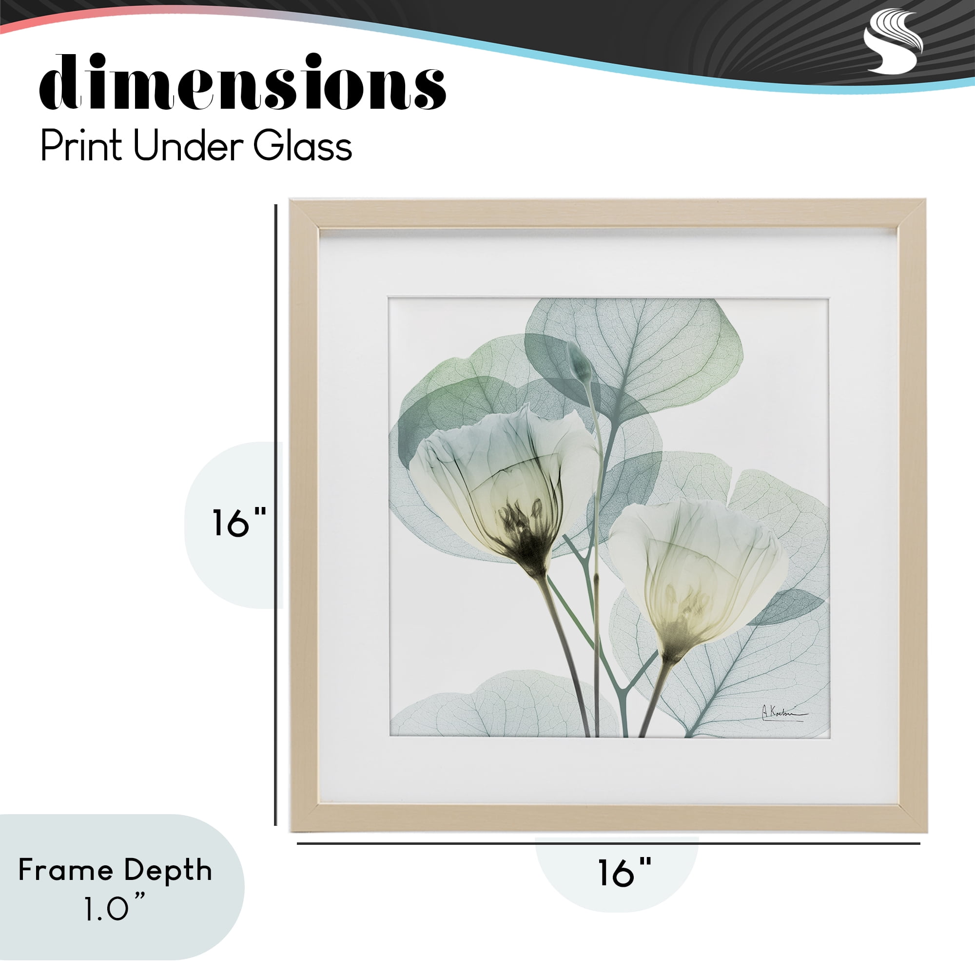 Stupell Industries Divine Fate Flower Leaves Birch Framed Print Under Glass, design by Albert Koetsier