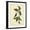 Black Frame, variant on Art.com Catesby Bird & Botanical IV Art Print by Mark Catesby, 12" x 16"