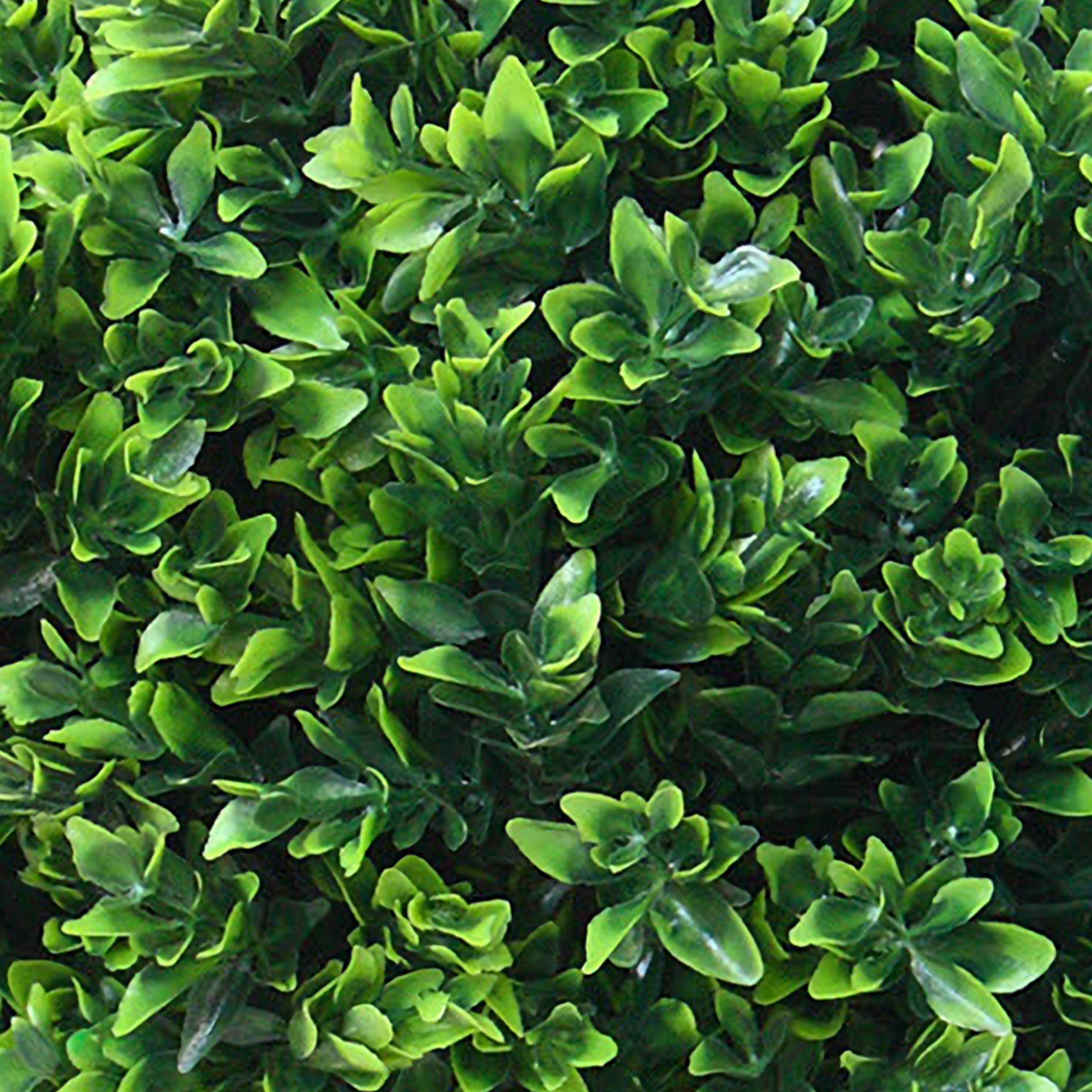 Pure Garden Artificial Small Hedyotis Tree, Set of 2 Faux Potted Topiary Plant, UV Resistant, Green