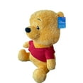thumbnail image 5 of Disney Winnie the Pooh Weighted 14 inch Plush, 5 of 5