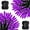 Purple, variant on Battery Operated Christmas Lights, 50 LED 16FT Battery Operated String Lights with 8 Modes, Christmas Decorations for Outdoor Indoor Wedding Party Home Decor