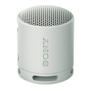 Sony SRS-XB100 Wireless Bluetooth Portable Speaker (Gray) with Case Bundle