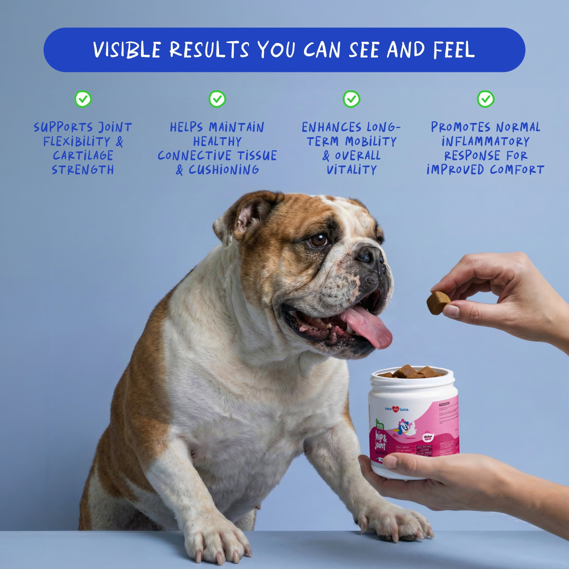 Hip and Joint Support for Dogs - Hyaluronic Acid for Dogs - 90 Soft Chews