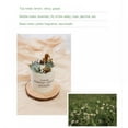 thumbnail image 4 of Natural Soy Wax Aromatherapy Candle, Smoke-Free Strong Fragrance Jar Candle for Stress Relief, 4 of 5