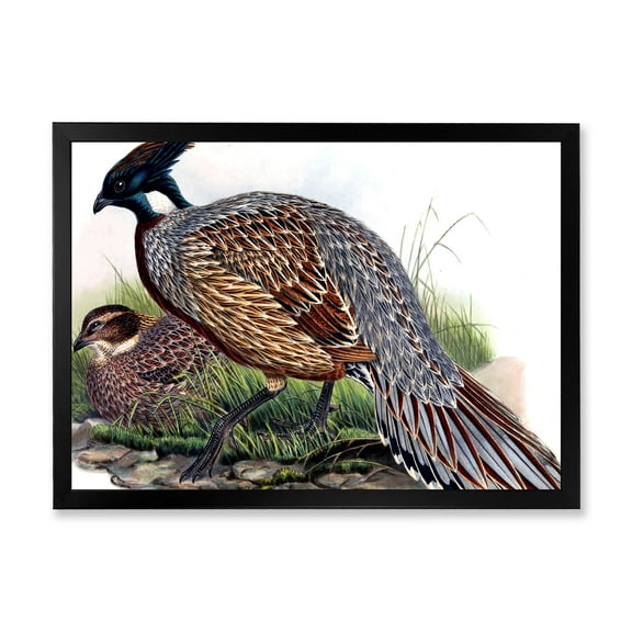 Designart 'Close Up Of Vintage Countryside Birds' Farmhouse Framed Art Print