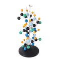 thumbnail image 4 of Modelo De Estructura De Proteína, Modelo Molecular De Proteína De Color Brillante QH3212-2 Plástico Para Aula, 4 of 7