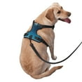 thumbnail image 2 of Fotbe Night Sky Moon Dolphin Pattern Dog Harness, No-Pull Pet Harness with 2 Leash Clips, Adjustable Soft Padded Dog Vest with Easy Control Handle for Large Dogs-Small, 2 of 6