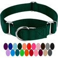 thumbnail image 1 of LAICAIW Country Brook Petz-Green Martingale Heavy Duty Nylon Dog Collar-21 Vibrant Color Options (3/8 Inch Width, Micro), 1 of 7