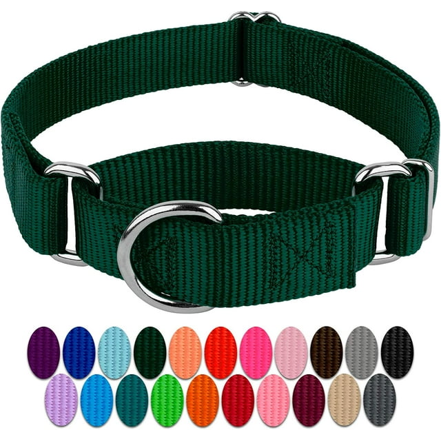LAICAIW Country Brook Petz-Green Martingale Heavy Duty Nylon Dog Collar-21 Vibrant Color Options (3/8 Inch Width, Micro)