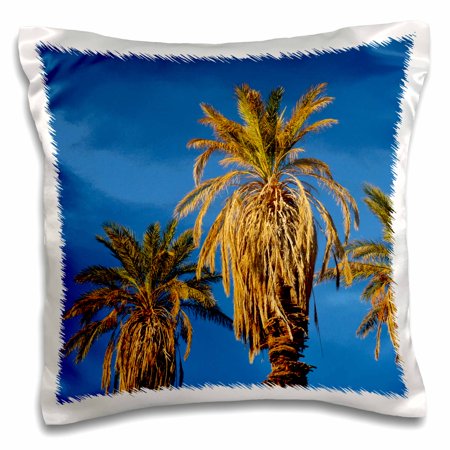 Date Palms by Furnace Creek Golf Course, Death Valley NP, USA. 16x16 inch Pillow Case pc-209177-1