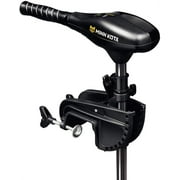 Minn Kota Endura C2 55 Lbs. Thrust 42 In. Shaft Freshwater Transom Mount Trolling Motor