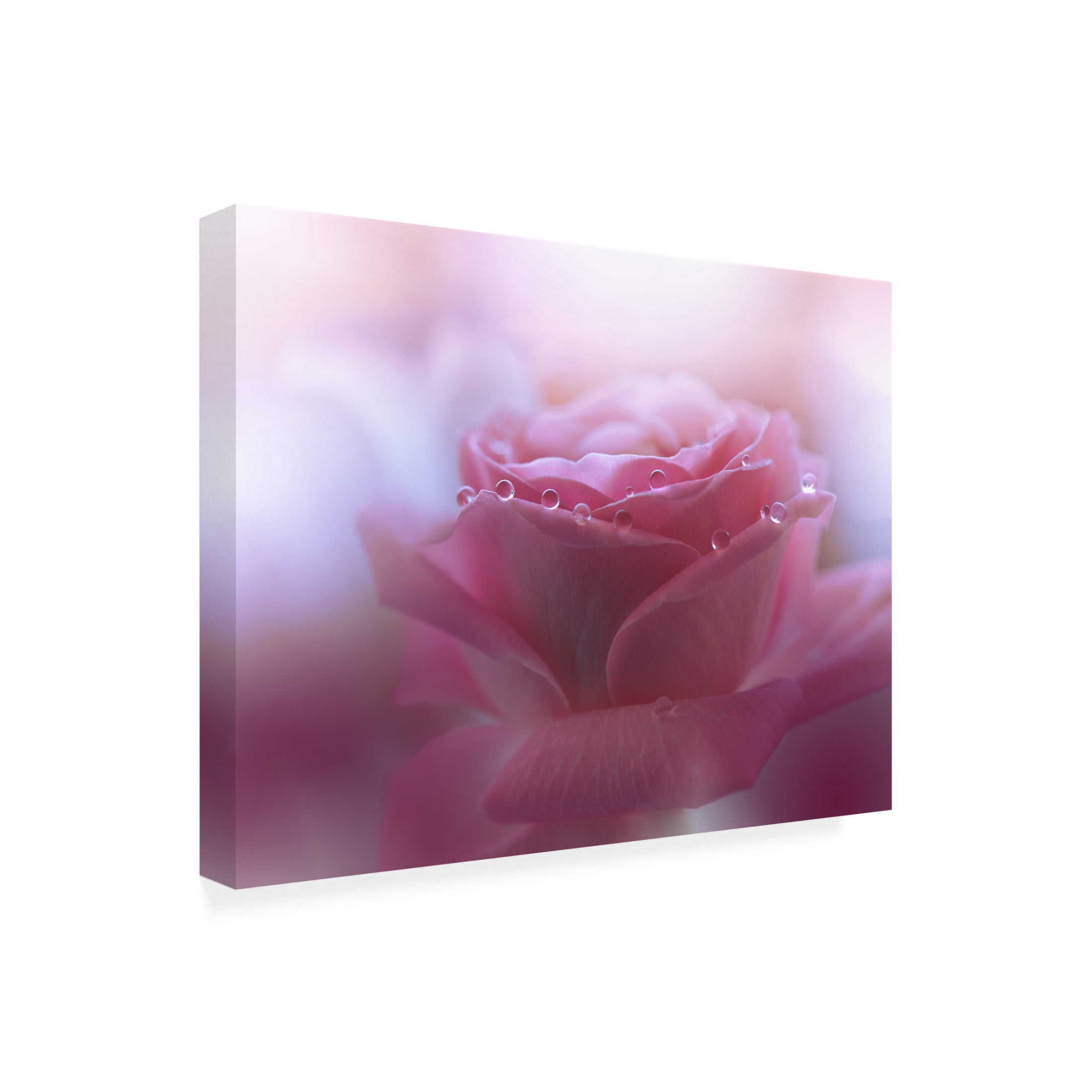 Trademark Fine Art Juliana Nan Will We Be Enough.. Canvas Wall Art