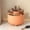 🔥 Orange, variant on Sentmoon Make up Organizer Makeup Organizers Desktop Rotating Makeup Brush Organizer Cosmetic Container Desk Dresser Eyeshadow Brushes Lipstick Case Pen Container