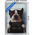 thumbnail image 3 of Lucia Heffernan Art - Boston Mug Shot Wall Poster, 14.725" x 22.375" Framed, 3 of 4