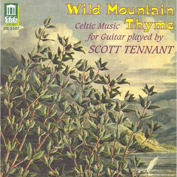 Wild Mountain Thyme