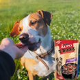thumbnail image 6 of Purina Alpo TBonz Filet Mignon Flavor Dog Treats, Made with Real Beef with a Crunchy Texture 100% Nutritionally Complete & Balanced for Treating Rewarding Convenient Portable Animal Snack Pack of 4, 6 of 7