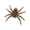 B005- Light Brown, variant on Outdoor Halloween Decorations, Spooky Halloween Decor, Haunted House Decorations, Halloween Window Decorations, 2.5X2.5 Inch Purple Flocked Faux Prank Prop for Porch, Yard, Lawn