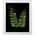 thumbnail image 3 of Vitaly Geyman 15x18 White Modern Wood Framed Wall Art Titled - Green Leaves II, 3 of 5