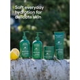 thumbnail image 5 of Monica + Andy Everyday Baby Lotion, Daily Moisturizer for Sensitive Infant Skin, Lavender & Chamomile, 10 fl oz, 5 of 10