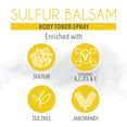 thumbnail image 2 of Sulfur Balsam Body Toner-Spray Natural Healthier Looking Skin Dr Robaina, 2 of 7