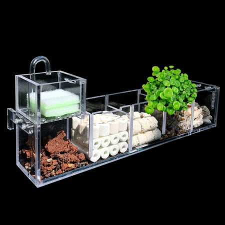2-6 Grids Acrylic Aquarium Fish Tank External Hang On Filter Box Without (Best Fish For A Bowl Without Filter)