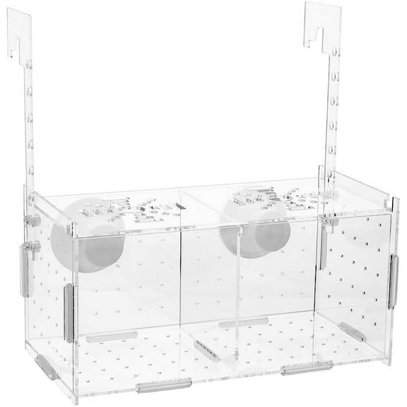 Aquarium Breeding Isolation Box Acrylic Fish Breeding Box Transparent Fish Acclimation Hatchery Incubator with Suction Cups for Guppy Shrimp Clownfish Fishes 10x10x20cm