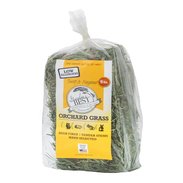 Grandpa's Best Orchard Grass Hay Mini Bale for Small Animals 5lb