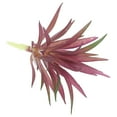 thumbnail image 3 of Uxcell Plantas Suculentas Artificiales Pequeñas Plantas Falsas Suculentas Sin Maceta Burdeos Paquete de 4, 3 of 5