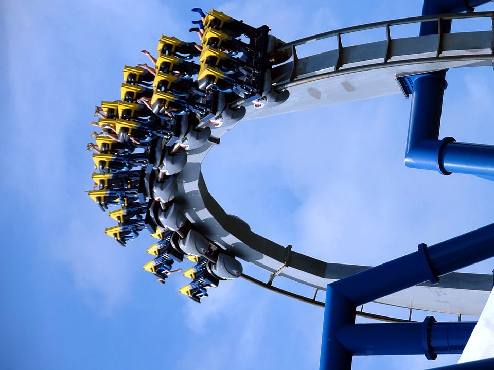 up and down roller coaster walmart