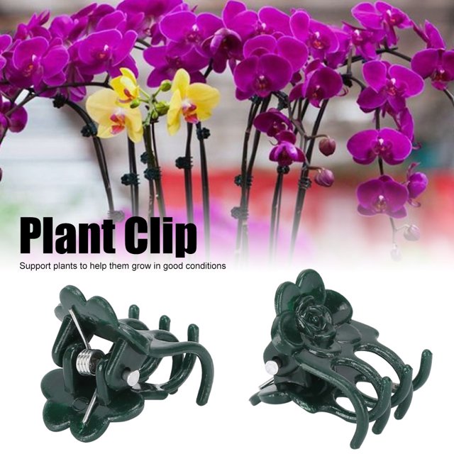 Clip para Plantas 200 Piezas Hermosa Forma de Rosa Clip para Plantas Tallos de Flores de Jardín Clips de Soporte Herramienta de Fijación Accesorio para Patio Jardín ANGGREK Otros