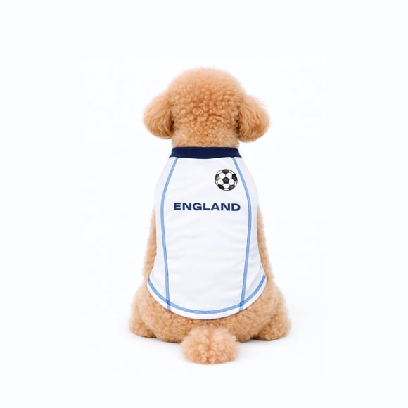 One Paw, maillot de football Angleterre, plusieurs équipes et tailles disponibles, bleu clair, unisexe, maillot court, pour chiens