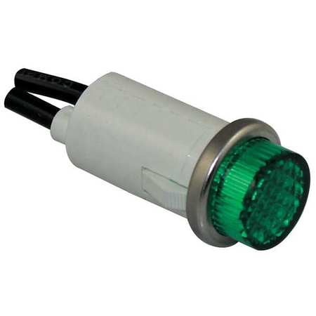 - DAYTON 22NY45 Raised Indicator Light,Green,24V