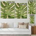 thumbnail image 4 of Designart 'Close Up Green Monstera Leaf Tropical Palm' Tropical Print on Natural Pine Wood, 4 of 5