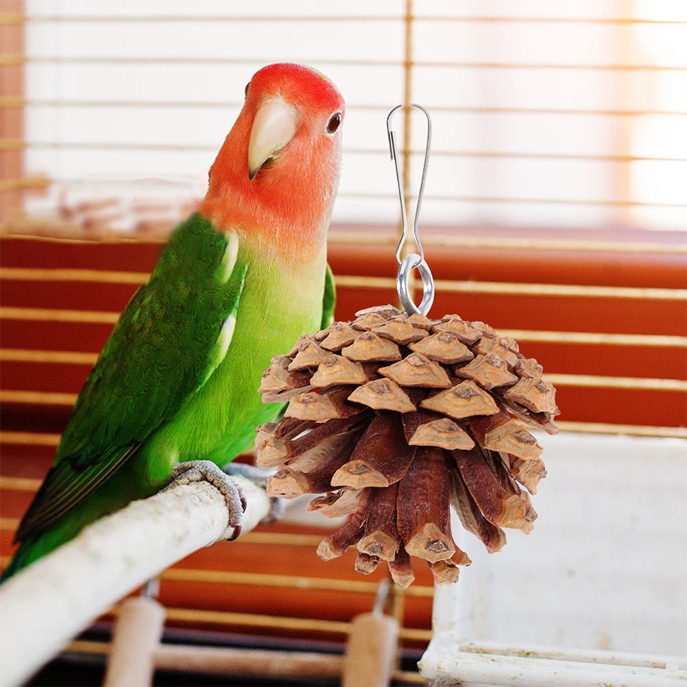 WEUVEB 5Pcs Hanging Pine Cone Bird Chew Toys Coffee Color Parrot Cage Accessories
