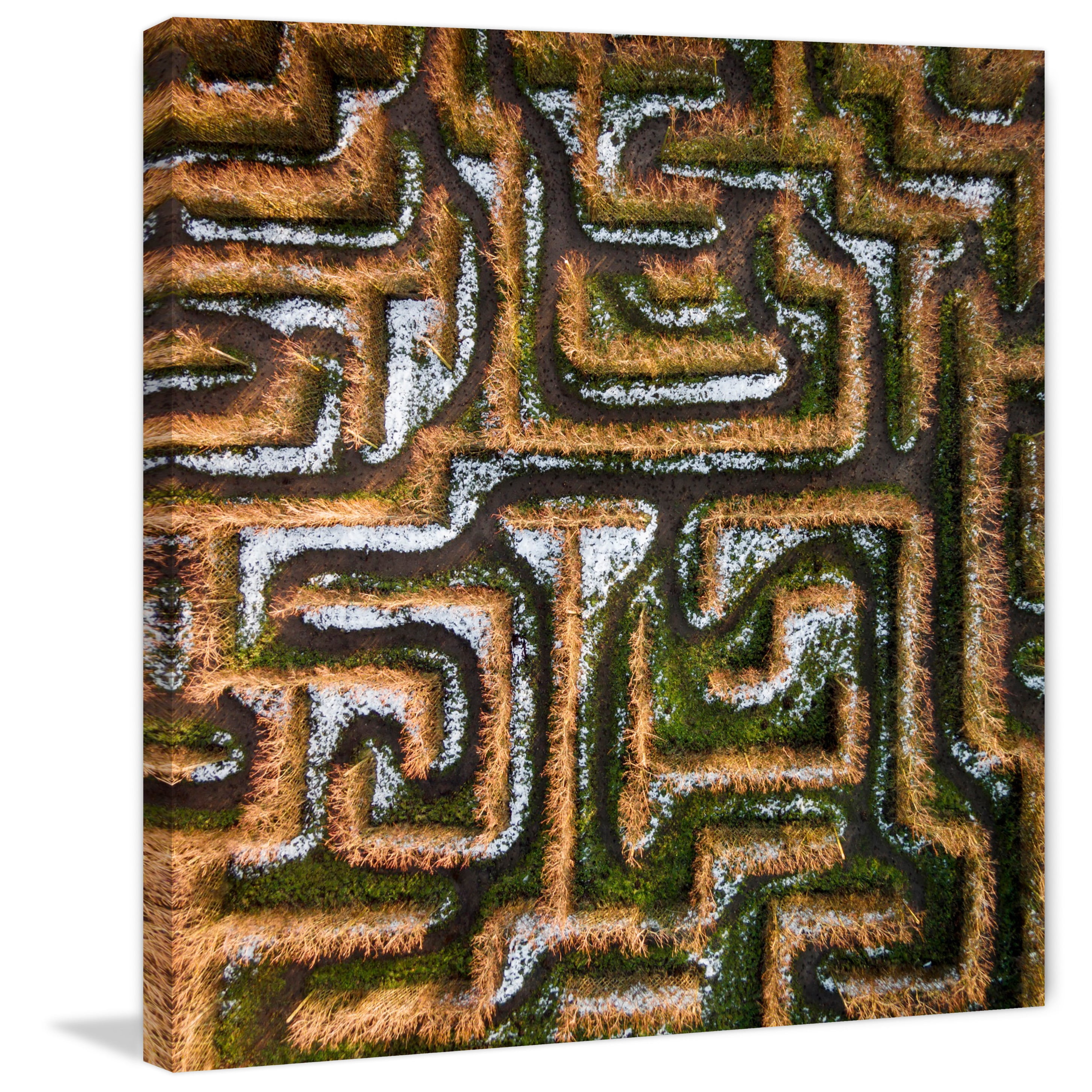 Marmont Hill "Earth Maze" by Karolis Janulis Painting Print on Wrapped Canvas