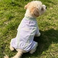 thumbnail image 4 of Breathable Mesh Dog Sun Protection Jumpsuit with D-Ring, Summer Cooling Pet Clothes for Small Dogs, Lightweight 4-Leg Puppy Outfit, Quick Dry Dog Sunsuit for Yorkie, Maltese, Outdoor Use, 4 of 5