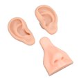 thumbnail image 3 of Silicone  Model, Flexible  Practice Model Soft  For Salon Light Skin Color,Medium Skin Color,Dark Skin Color, 3 of 8