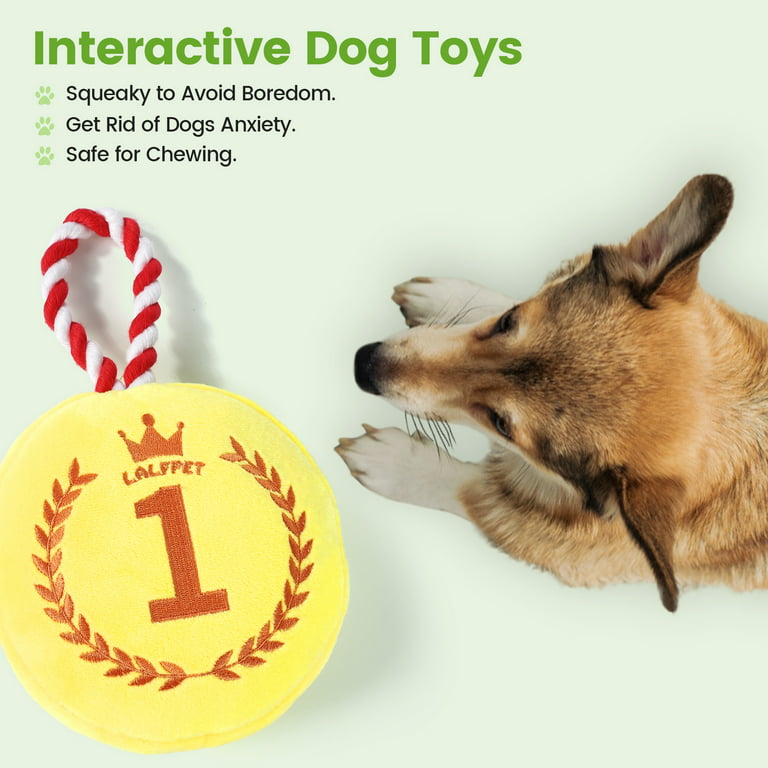 Kitsin 2 Pack Squeaky Plush Dog Toys, Unique Shape Dog Chew Toy, Stuffed Interactive  Dog Toys for Small Medium Large Dogs, Trophy Medal 