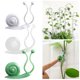 thumbnail image 2 of Clips para plantas trepadoras, clips de montaje en pared, clips autoadhesivos para plantas para soporte y fijación de plantas., 2 of 4
