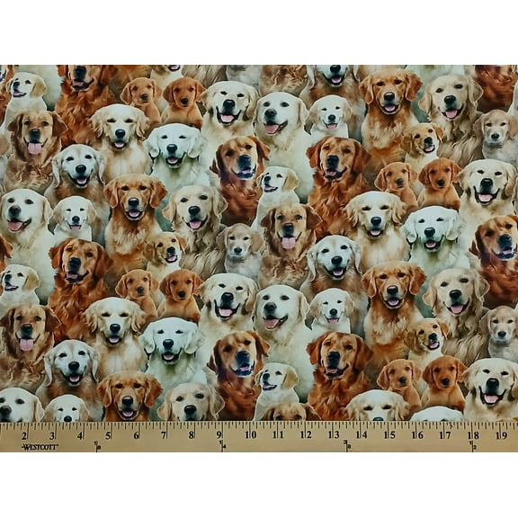Cotton Best Friend Golden Retrievers Dogs Multicolor Elizabeth Studios Cotton Fabric Print by the Yard (708-MULTI)
